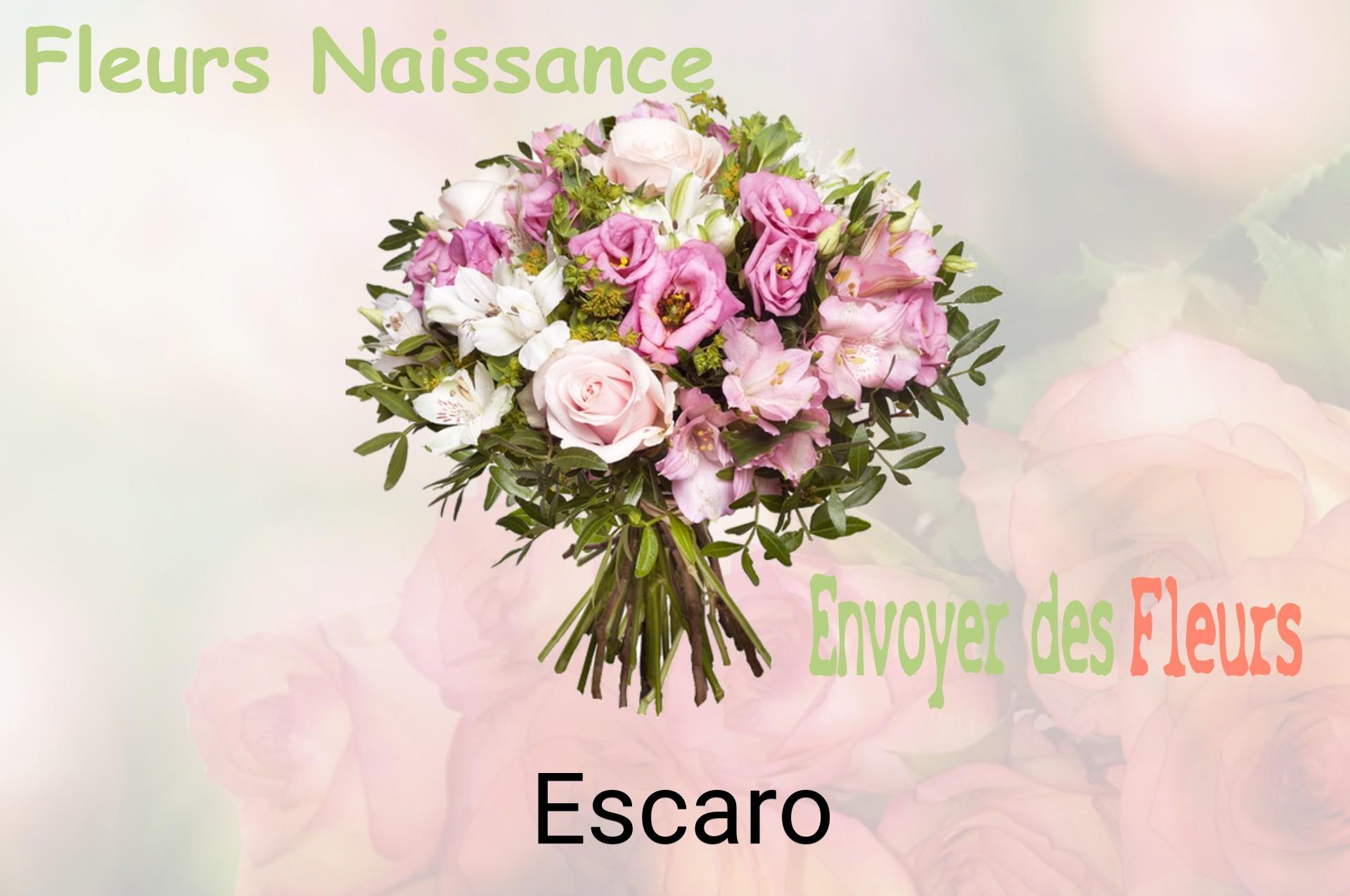 Bouquet de fleurs de naissance livré à Escaro